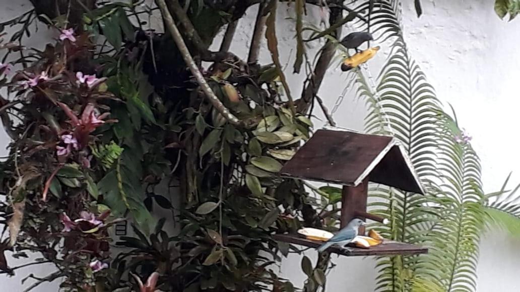 Suites Beija-Flor Araquari Eksteriør billede